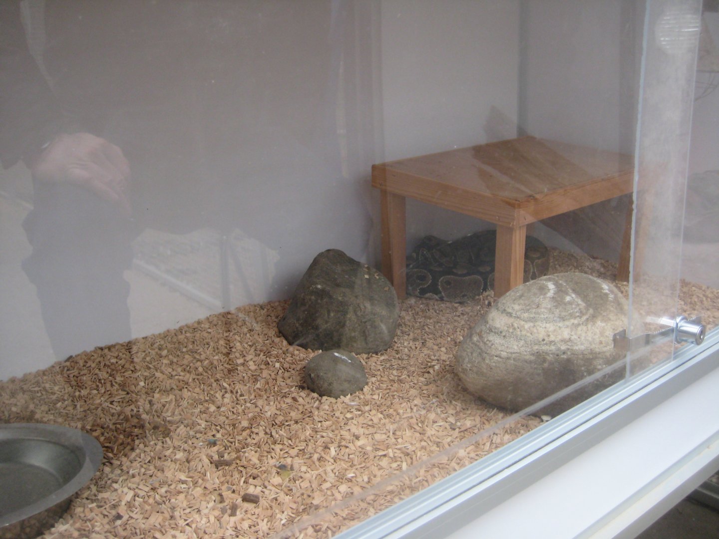 Hald Ege Miniregnskov - Desert area - Python exhibit