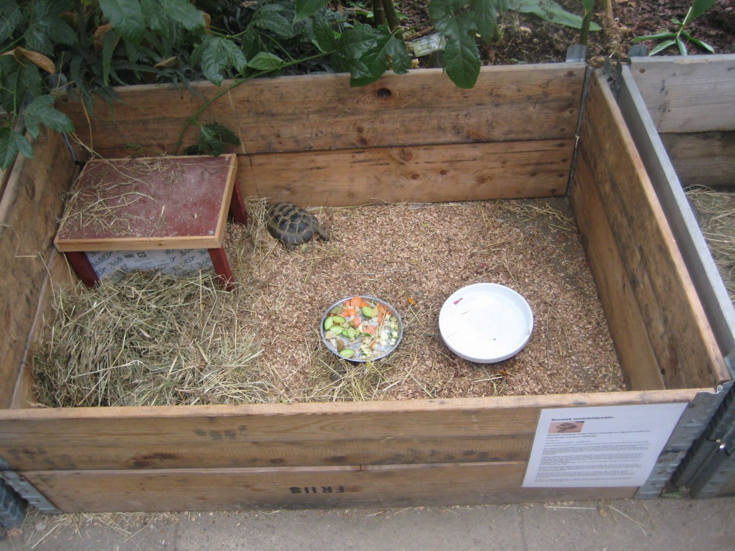 Hald Ege Miniregnskov - Desert area - Tortoise exhibit