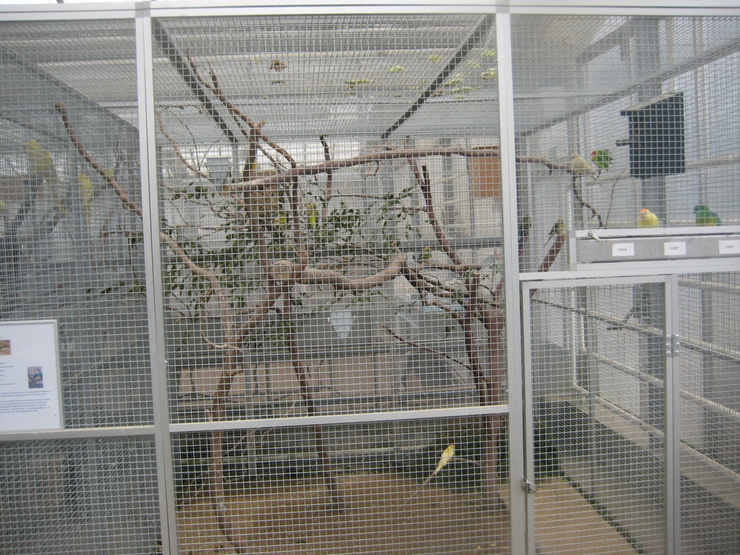 Hald Ege Miniregnskov - Entrance area - Mixed aviary