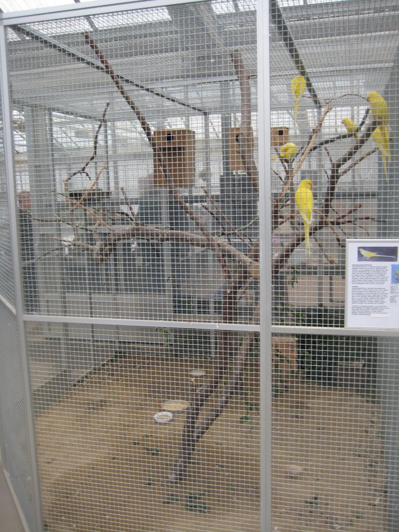 Hald Ege Miniregnskov - Entrance area - Mixed aviary