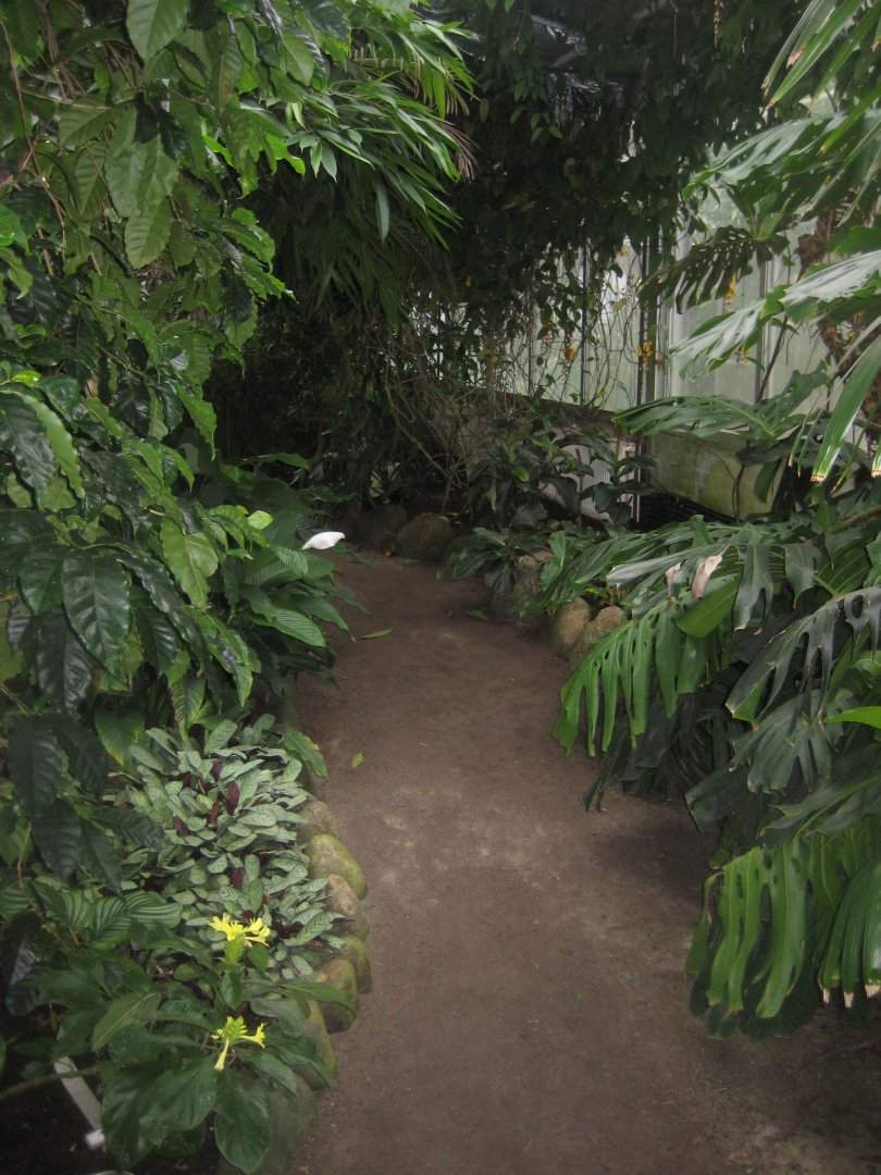 Hald Ege Miniregnskov - Greenhouse