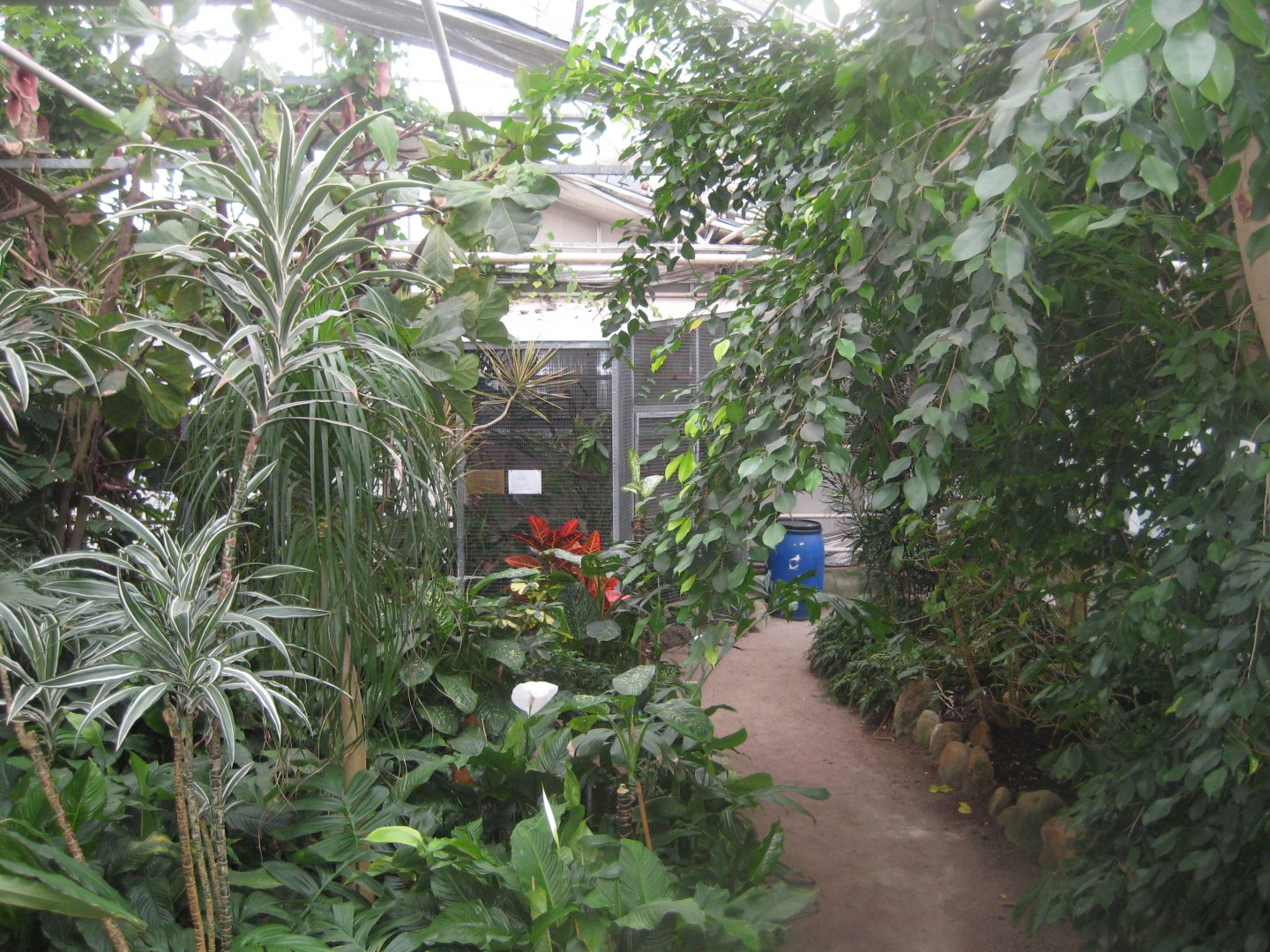 Hald Ege Miniregnskov - Greenhouse