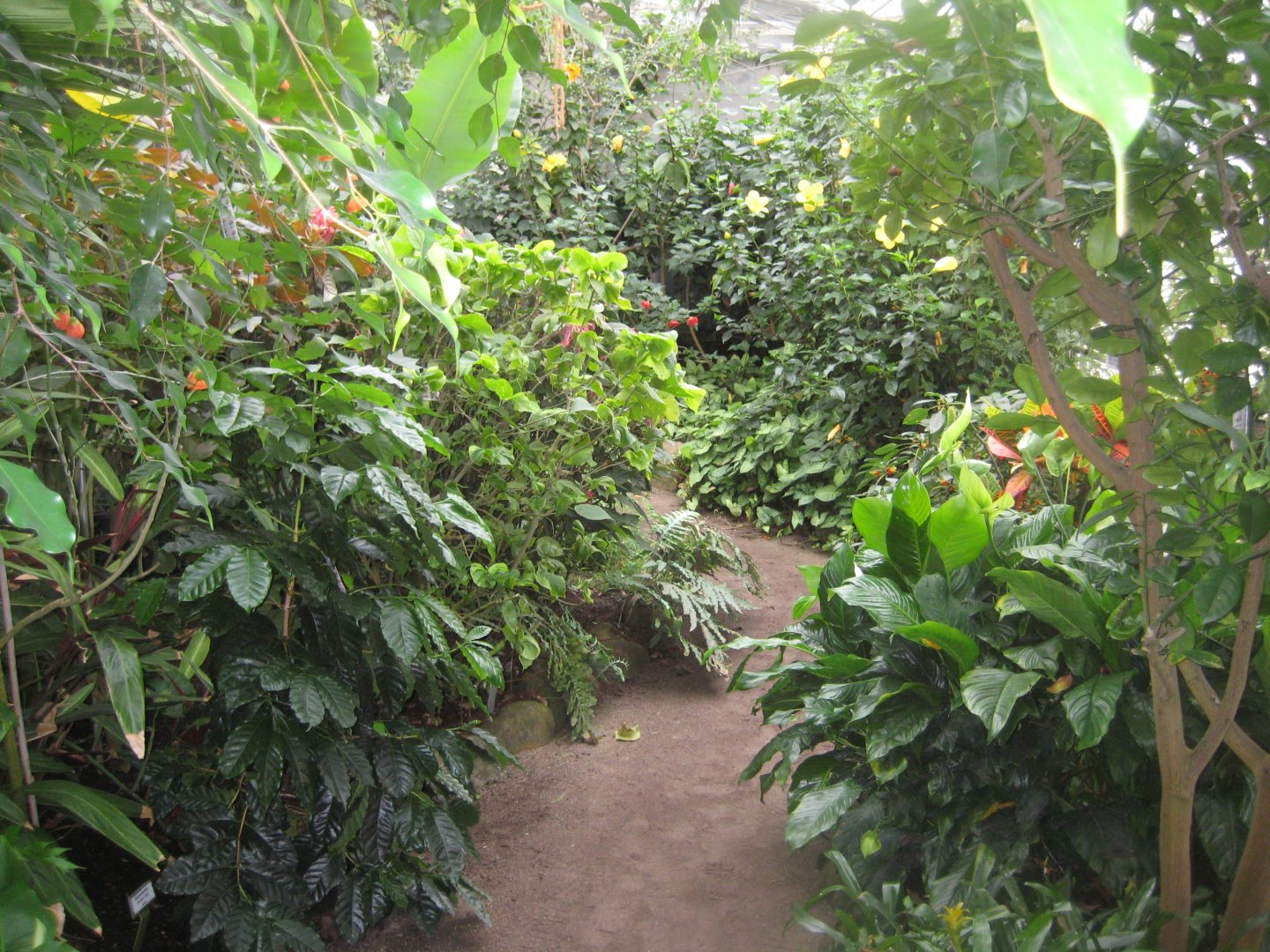 Hald Ege Miniregnskov - Greenhouse