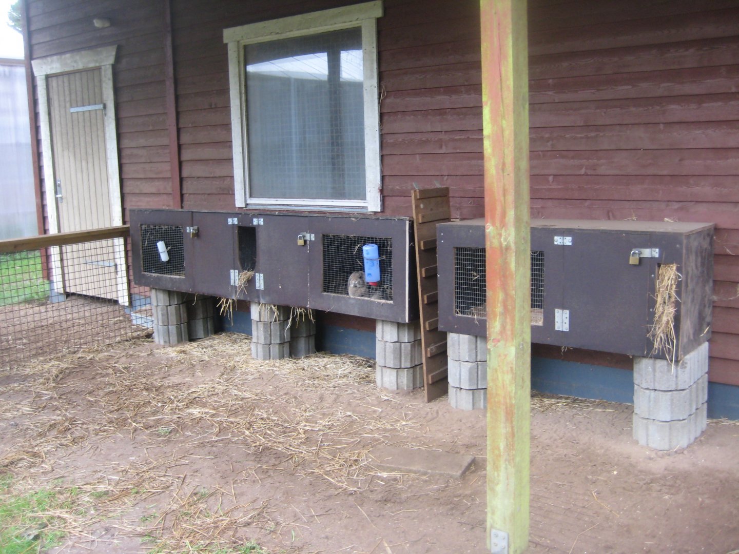 Hald Ege Miniregnskov - Outdoor area - Rabbit exhibit