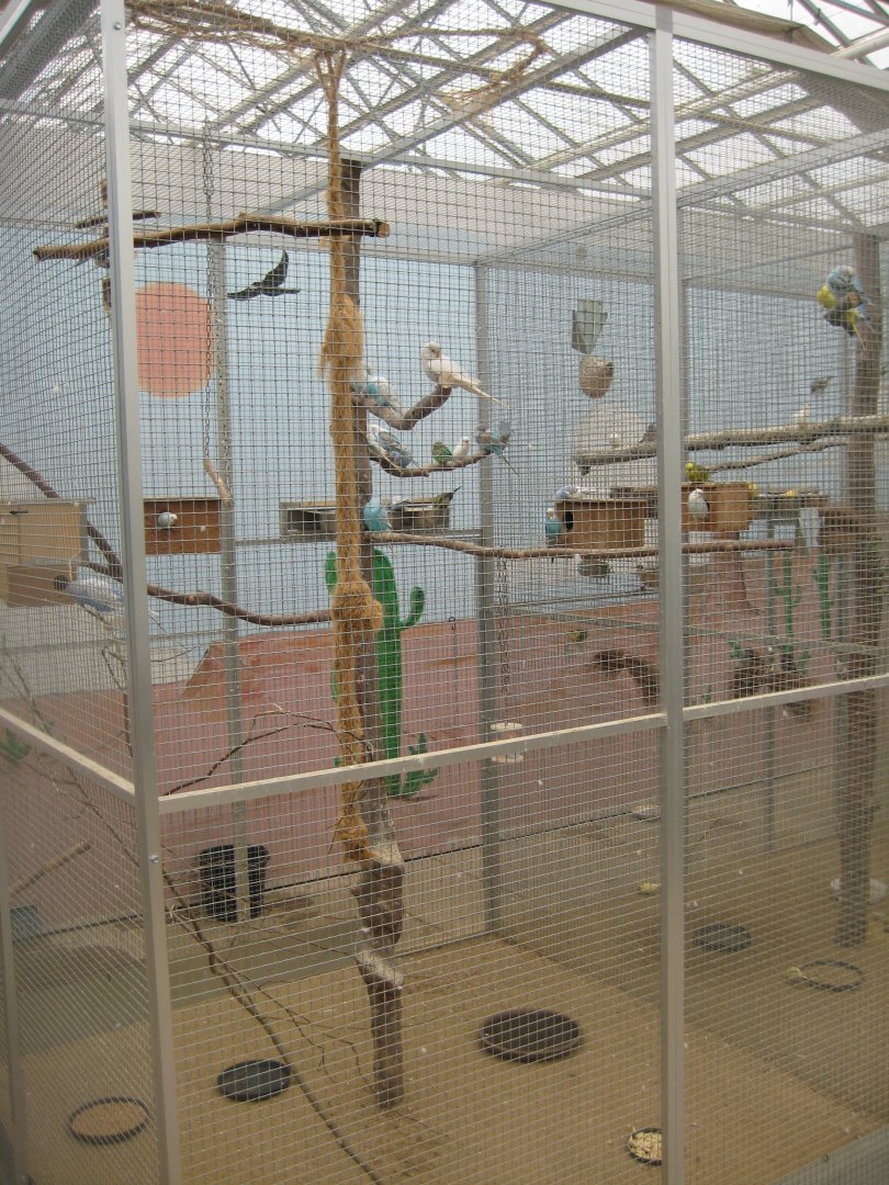 Hald Ege Miniregnskov - Plant shop - Budgie aviary