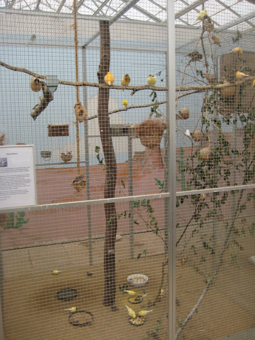 Hald Ege Miniregnskov - Plant shop - Canary aviary
