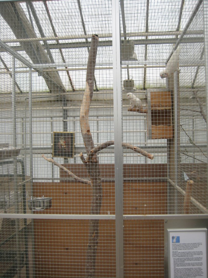 Hald Ege Miniregnskov - Plant shop - Cockatoo aviary