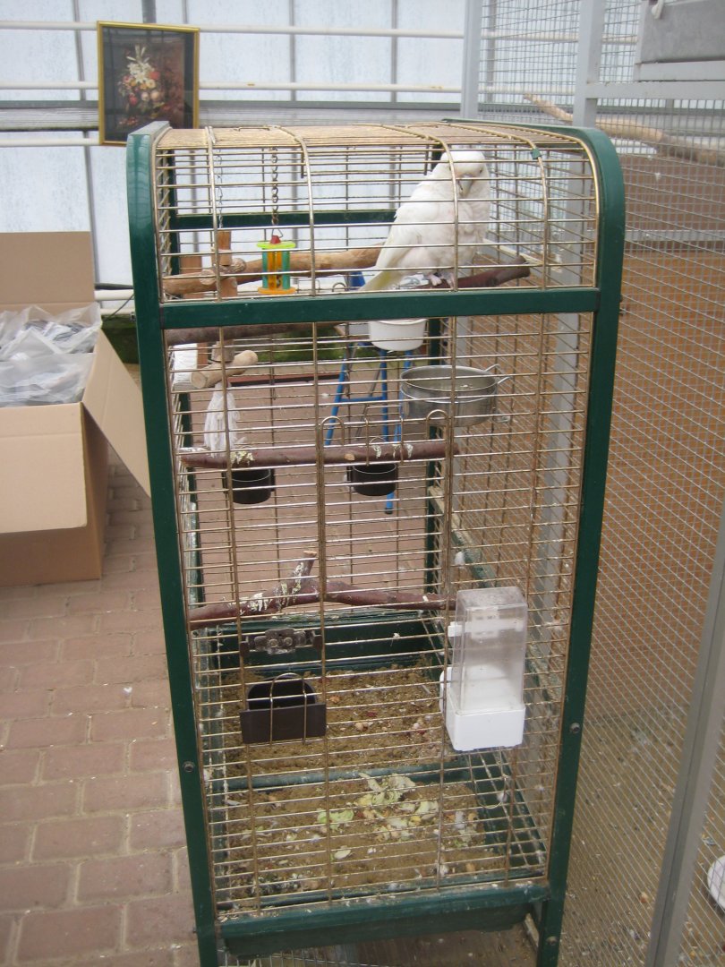 Hald Ege Miniregnskov - Plant shop - Cockatoo cage