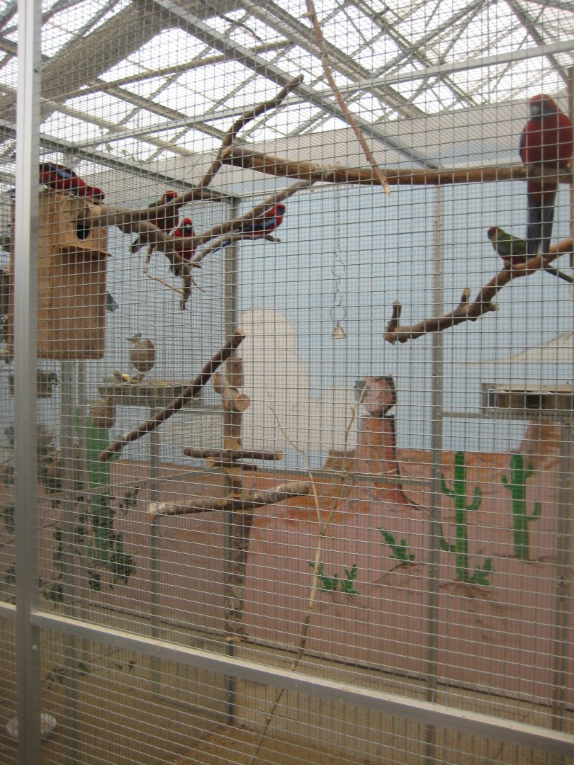 Hald Ege Miniregnskov - Plant shop - Rosella aviary