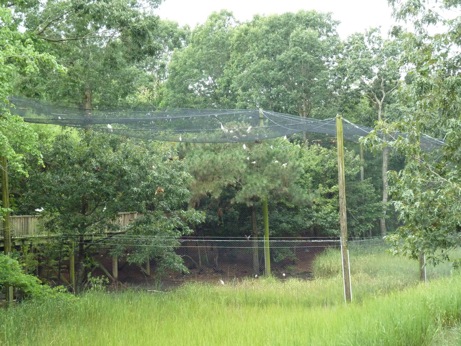 Half-Acre Walk-Through Aviary
