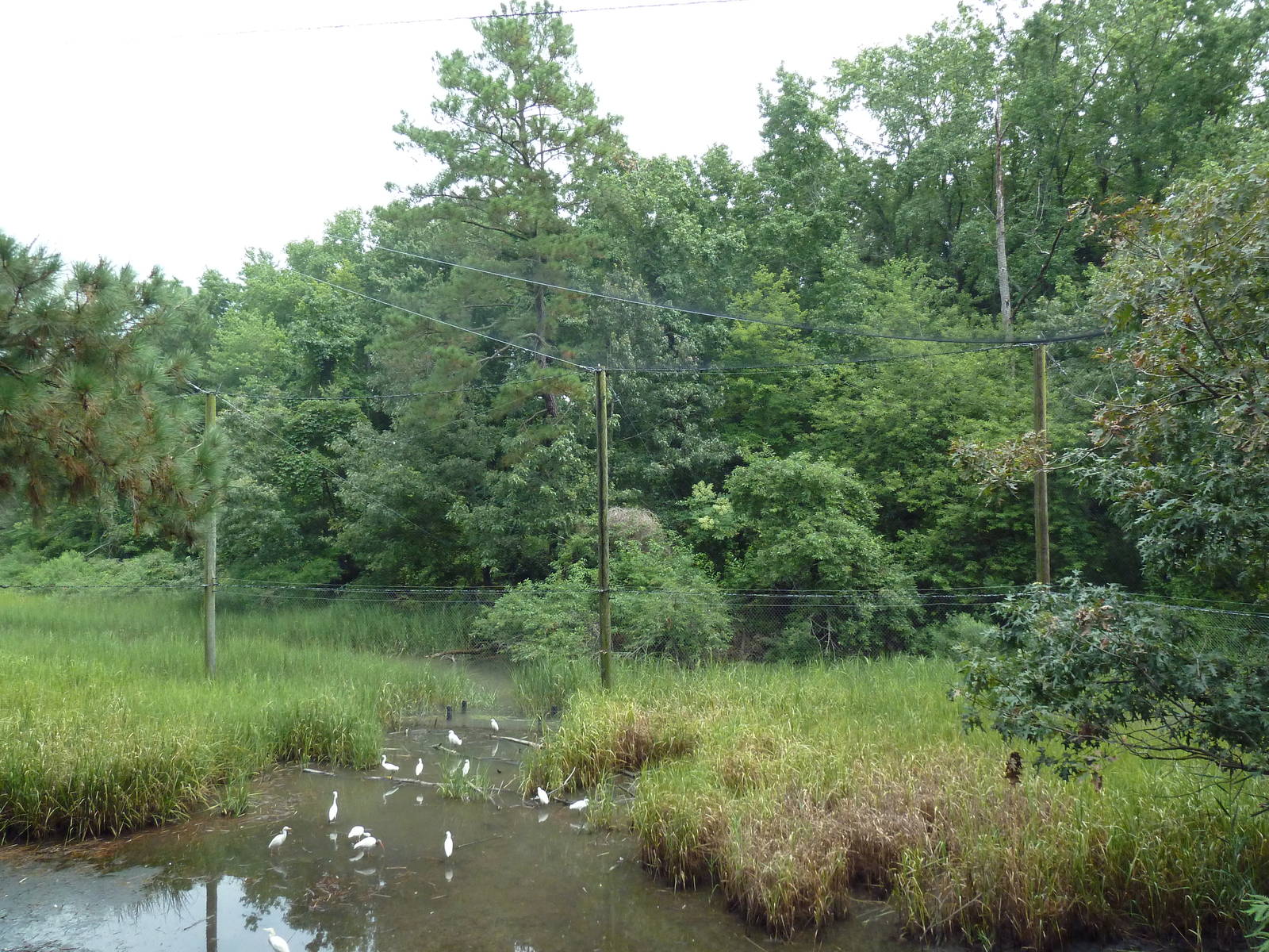 Half-Acre Walk-Through Aviary