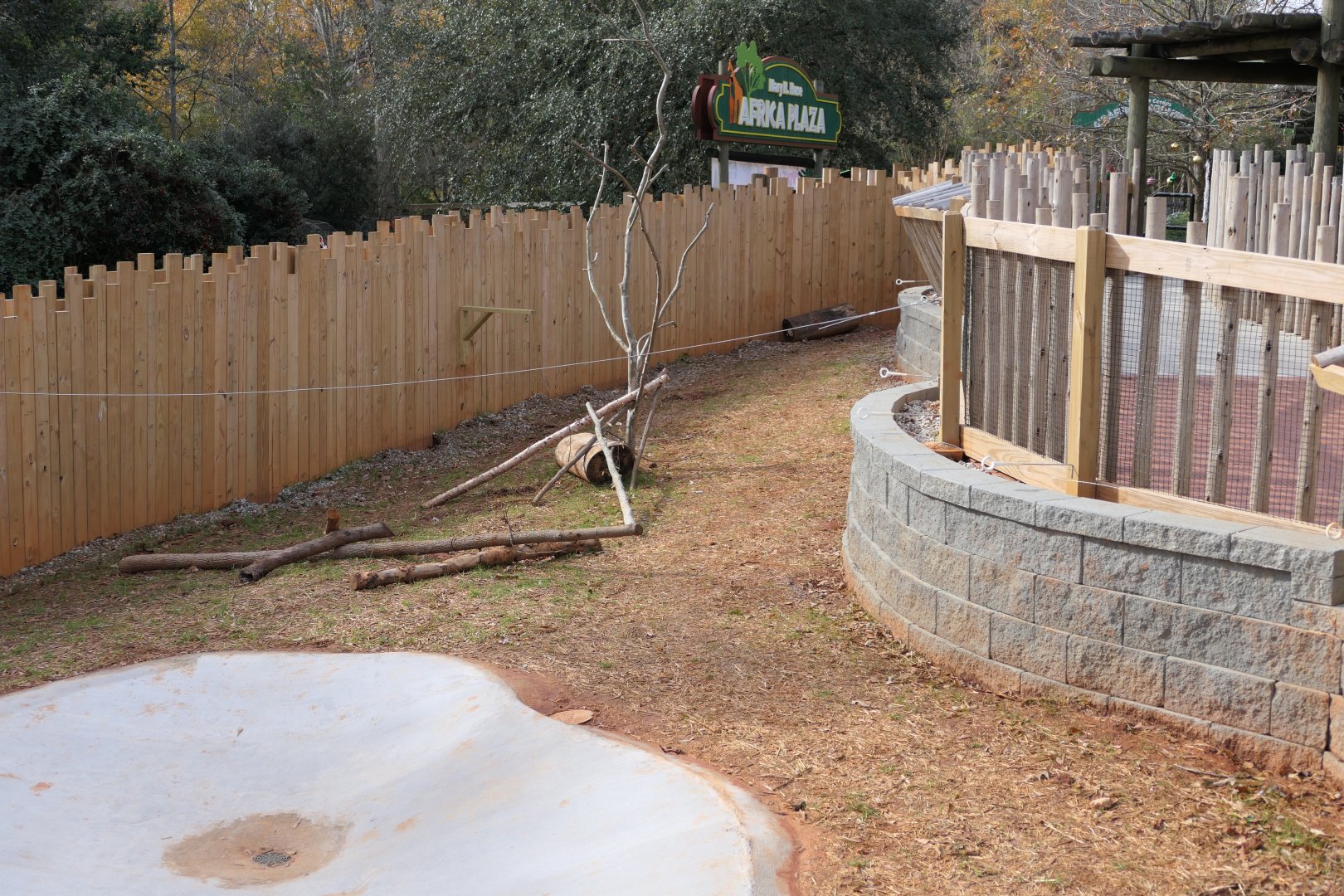 Half of new Cape Porcupine/ Aldabra Tortoise Exhibit
