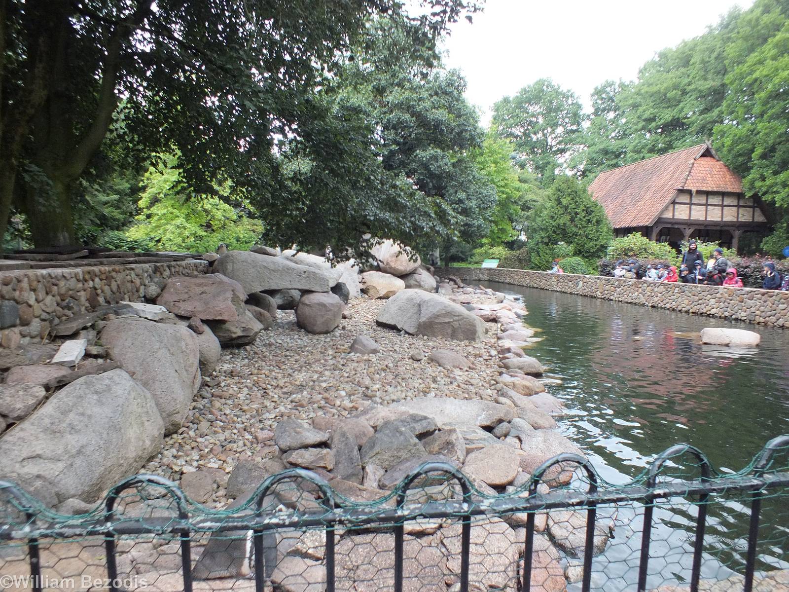 Half of the Penguin Enclosure