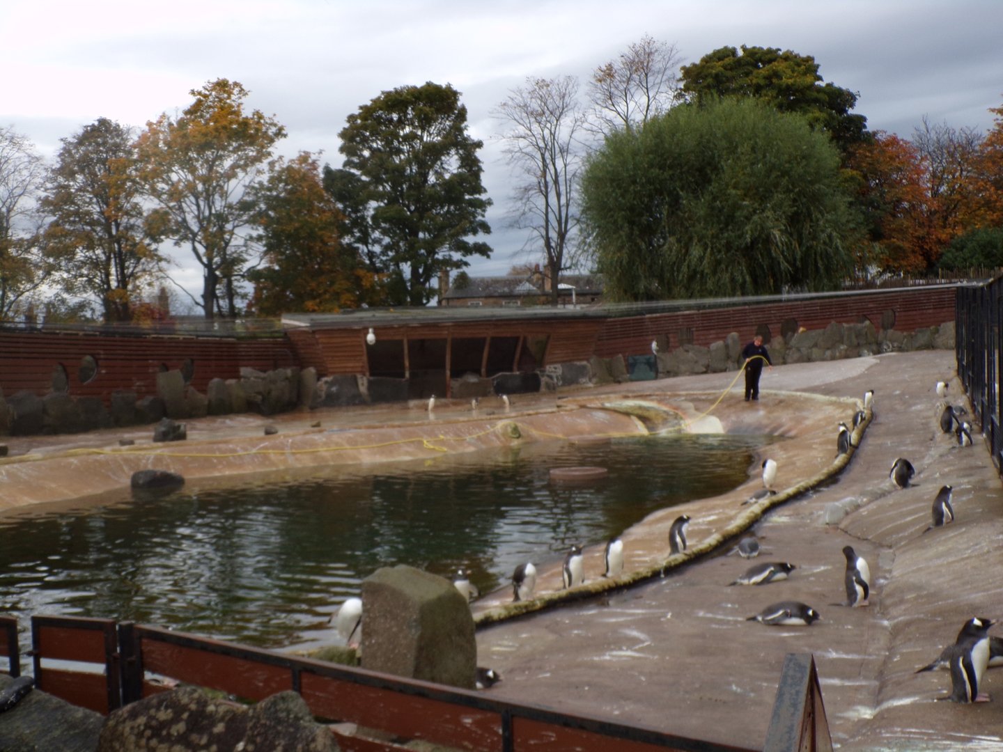 Half of the penguin enclosure
