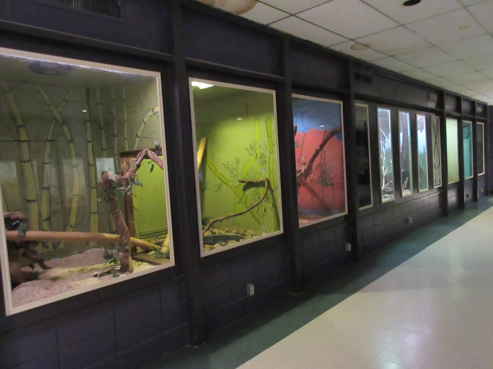 Half of the Reptile House