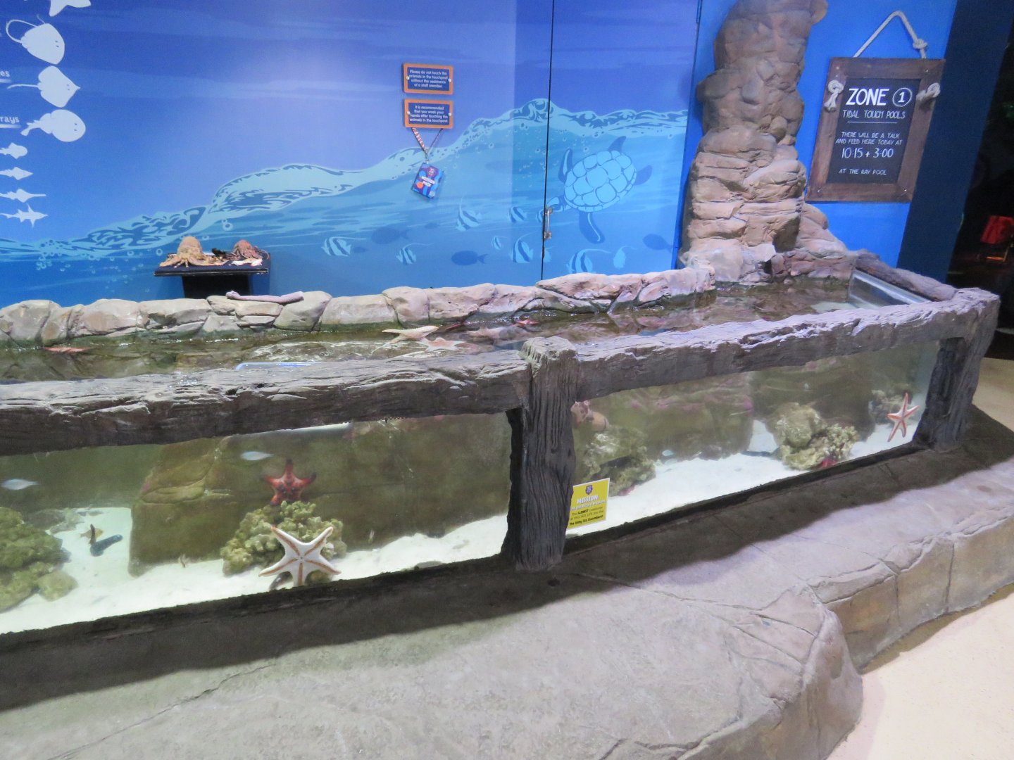 Half of the touch tank area