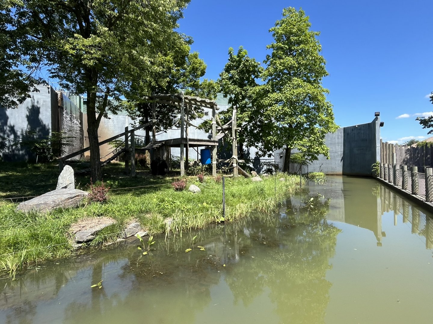 Half of the Western lowland gorilla exhibit