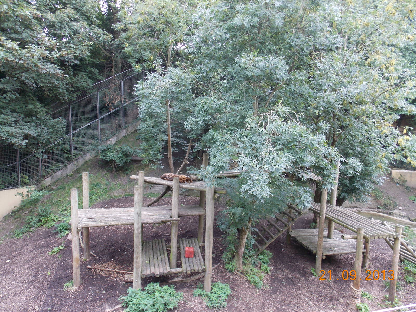 Half of Tiger enclosure