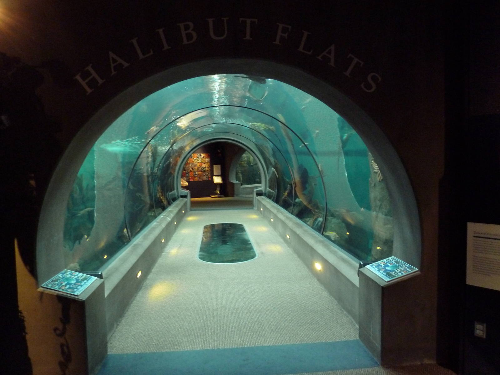Halibut Flats Tunnel
