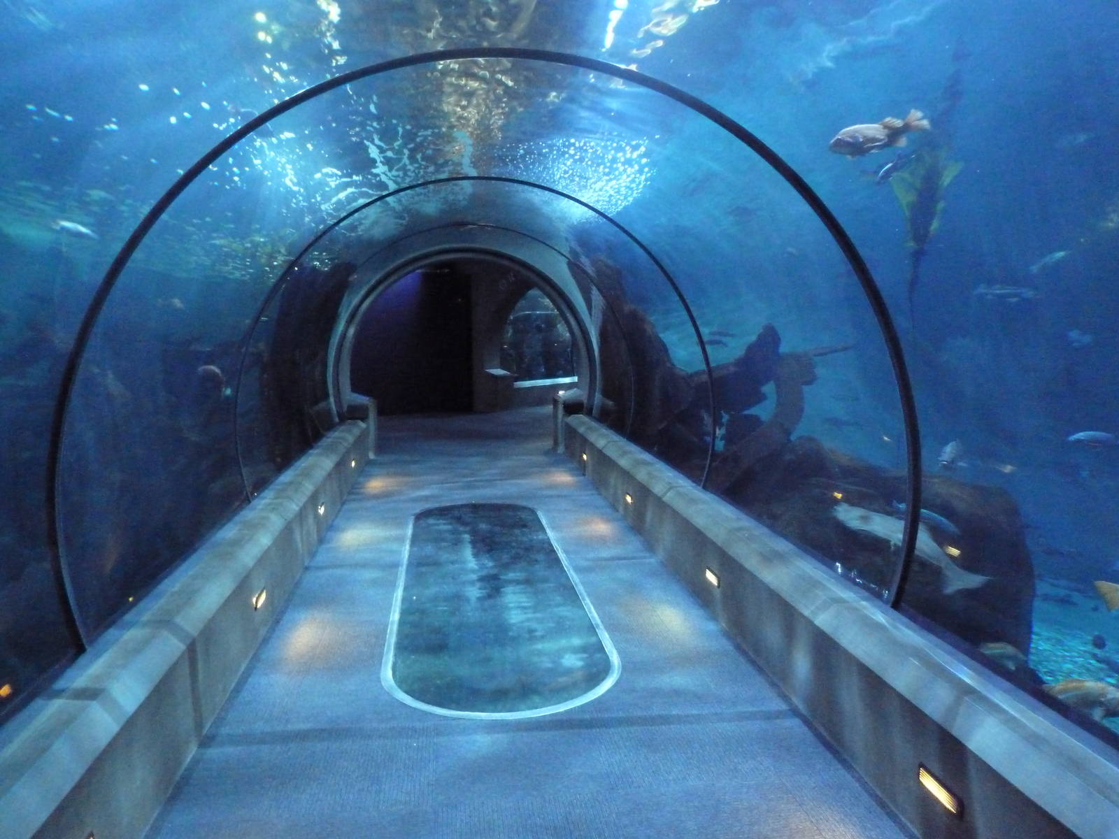 Halibut Flats Tunnel