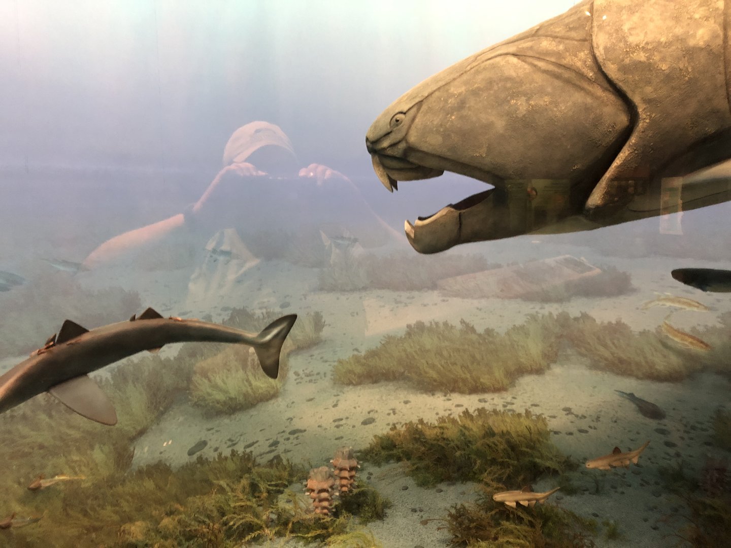 Hall of Ancient Life