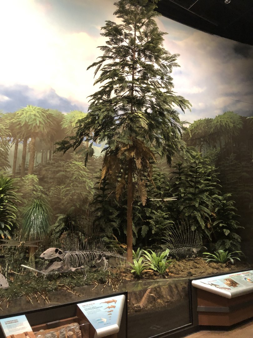 Hall of Ancient Life