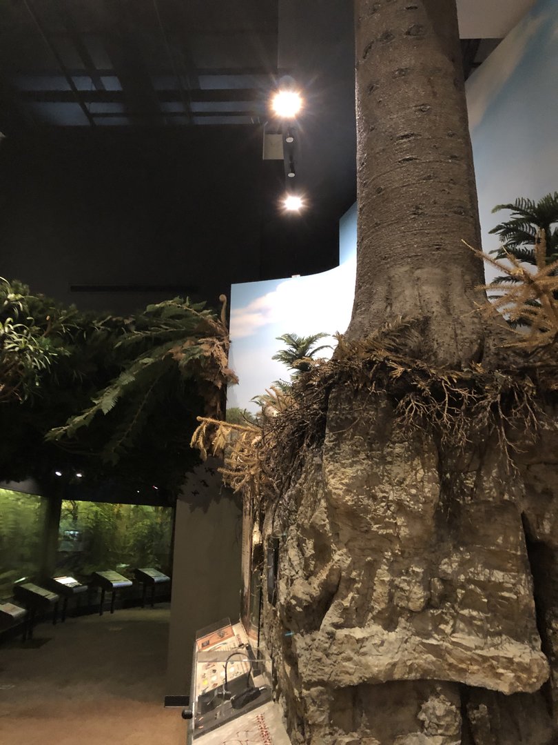 Hall of Ancient Life