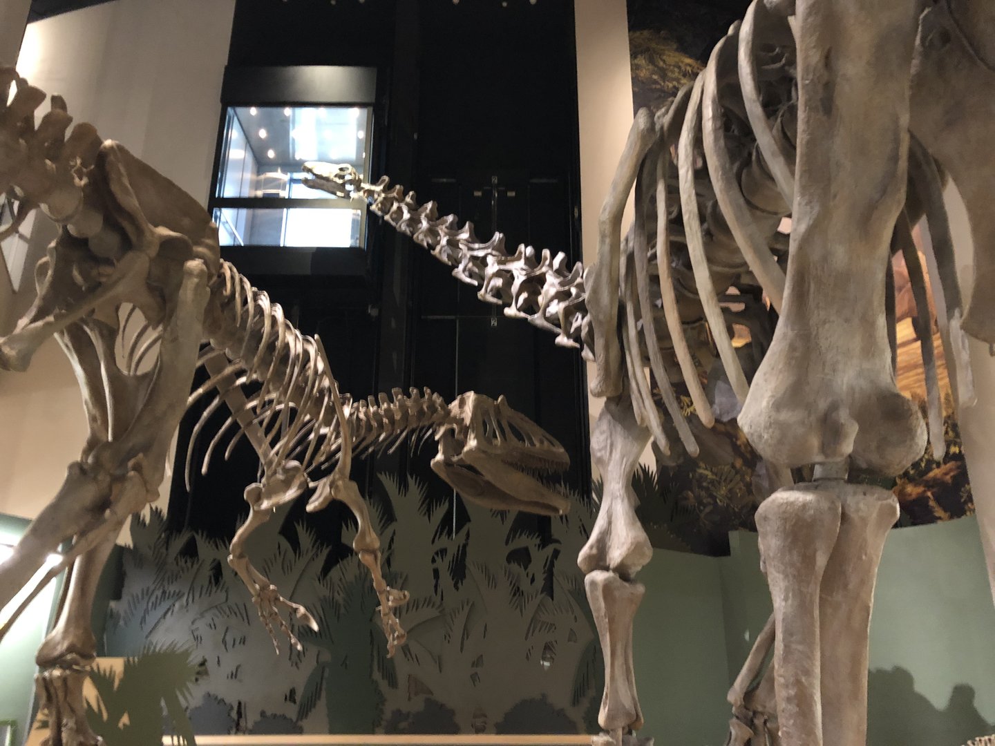 Hall of Ancient Life