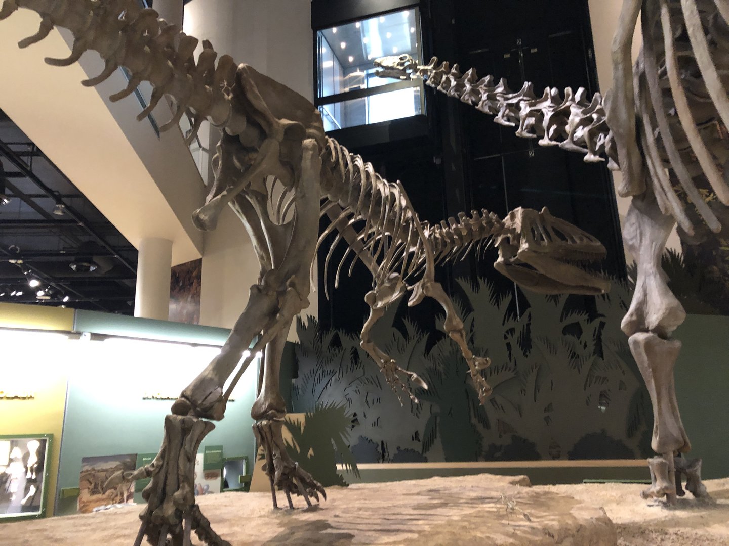 Hall of Ancient Life