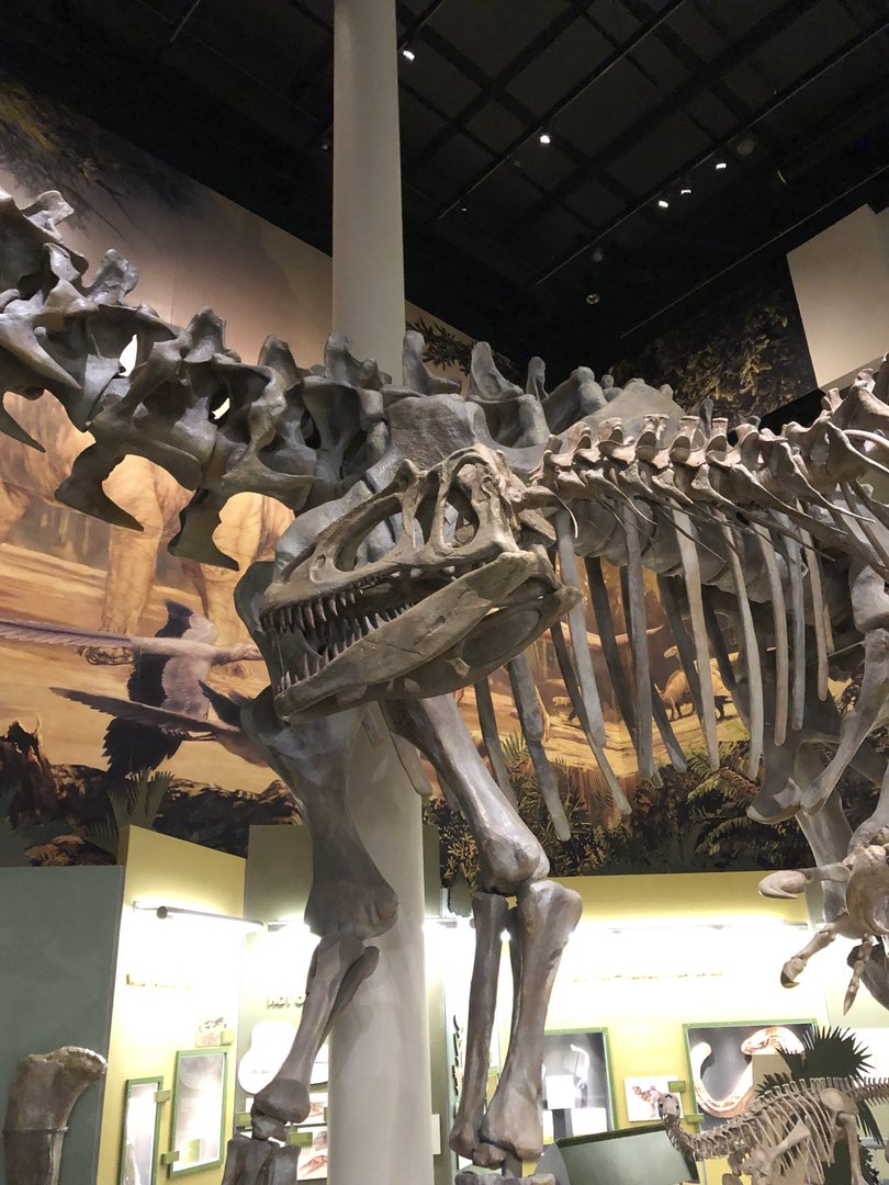 Hall of Ancient Life