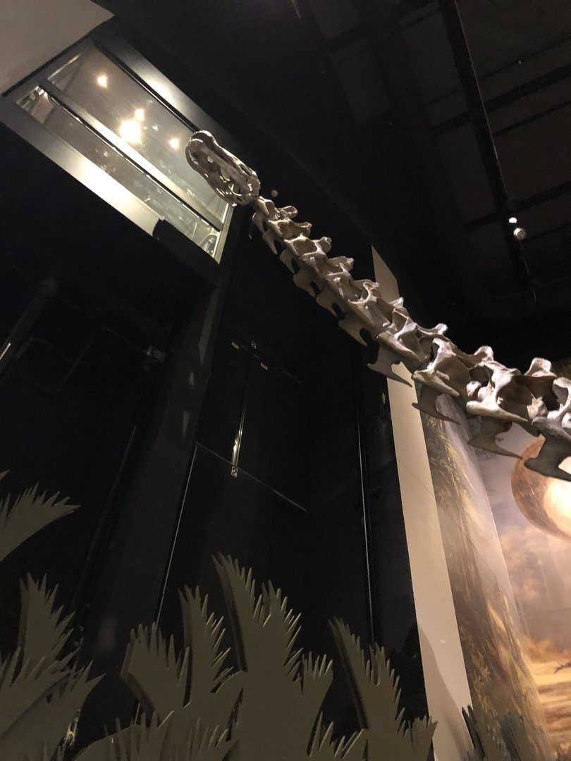 Hall of Ancient Life