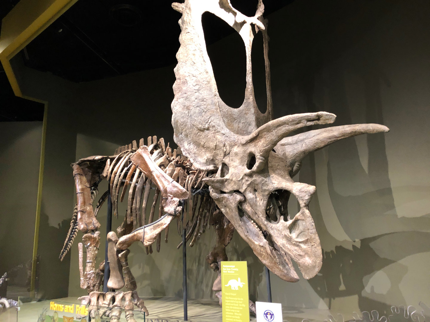 Hall of Ancient Life