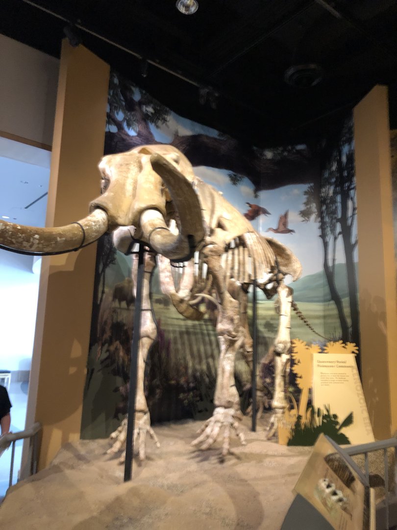 Hall of Ancient Life