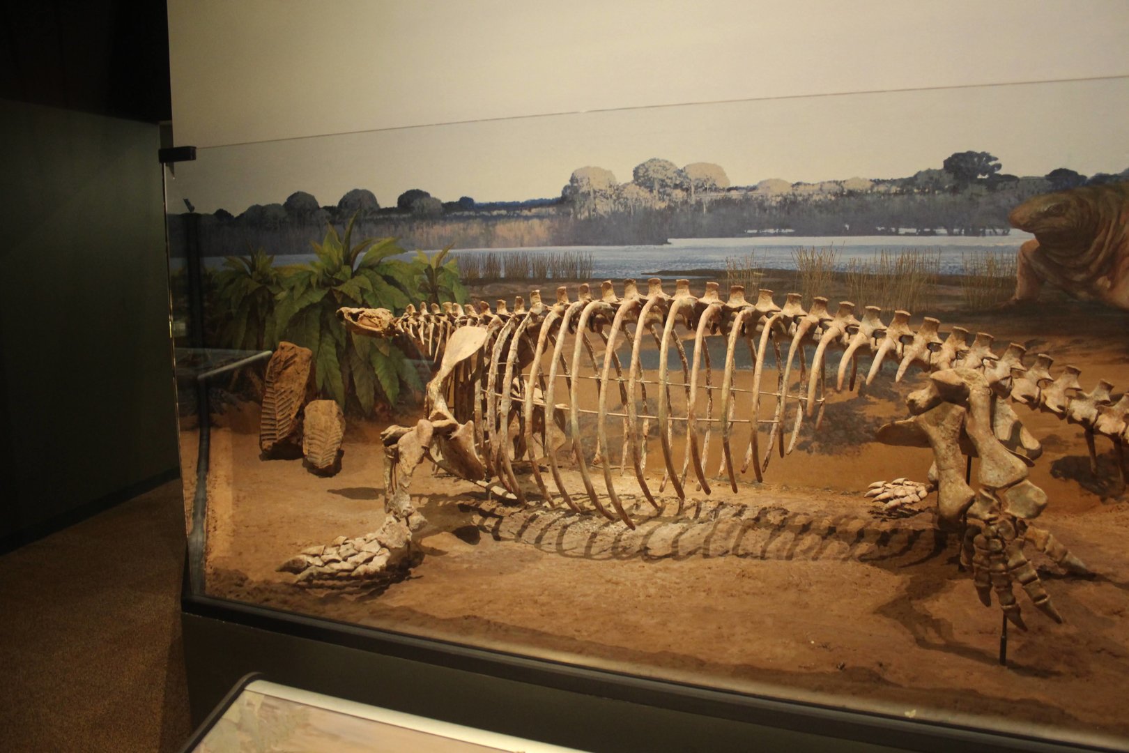 Hall of Ancient Life