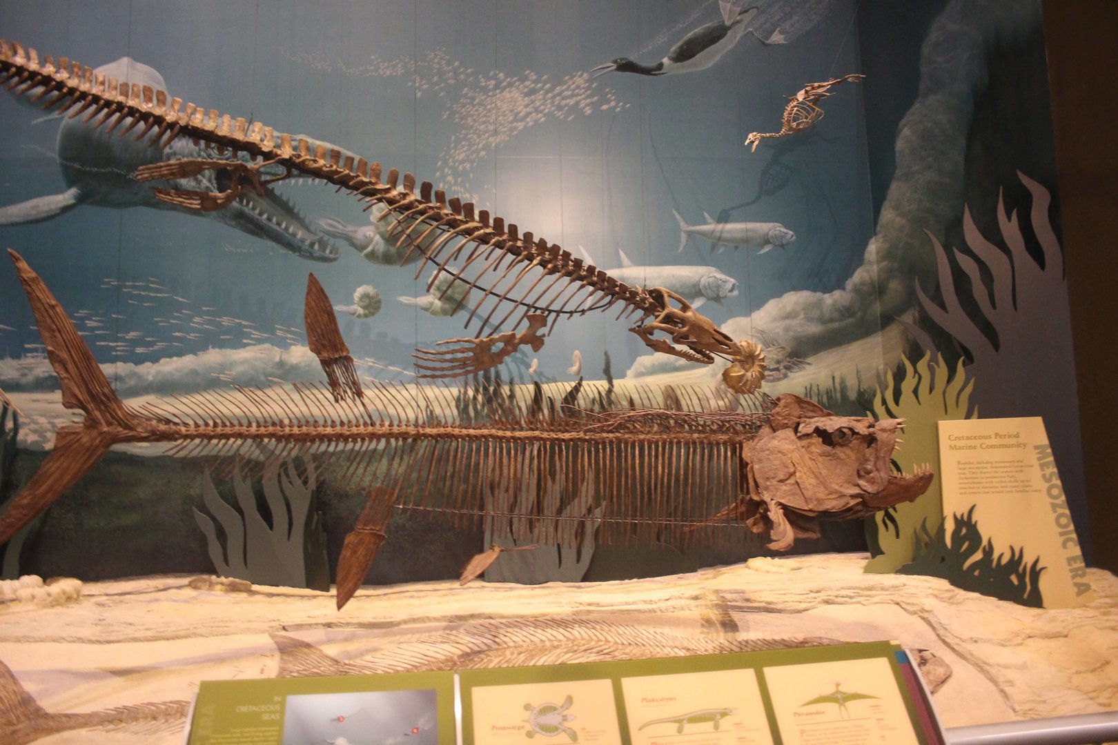 Hall of Ancient Life