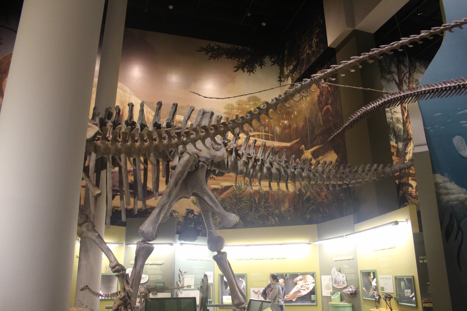 Hall of Ancient Life