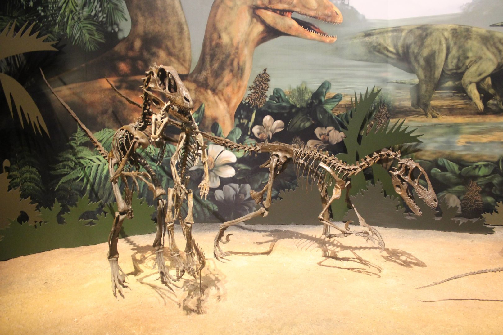 Hall of Ancient Life