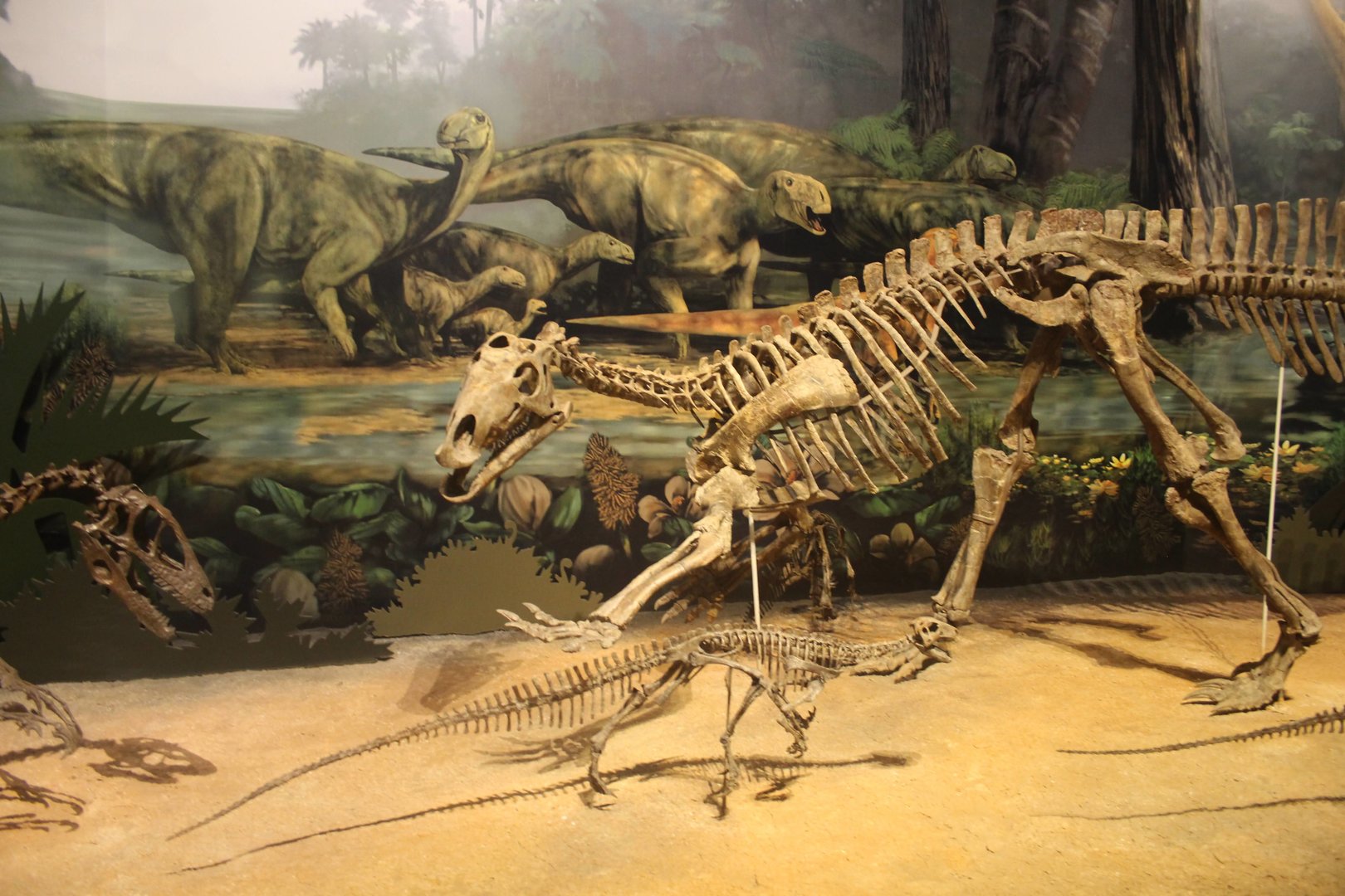 Hall of Ancient Life