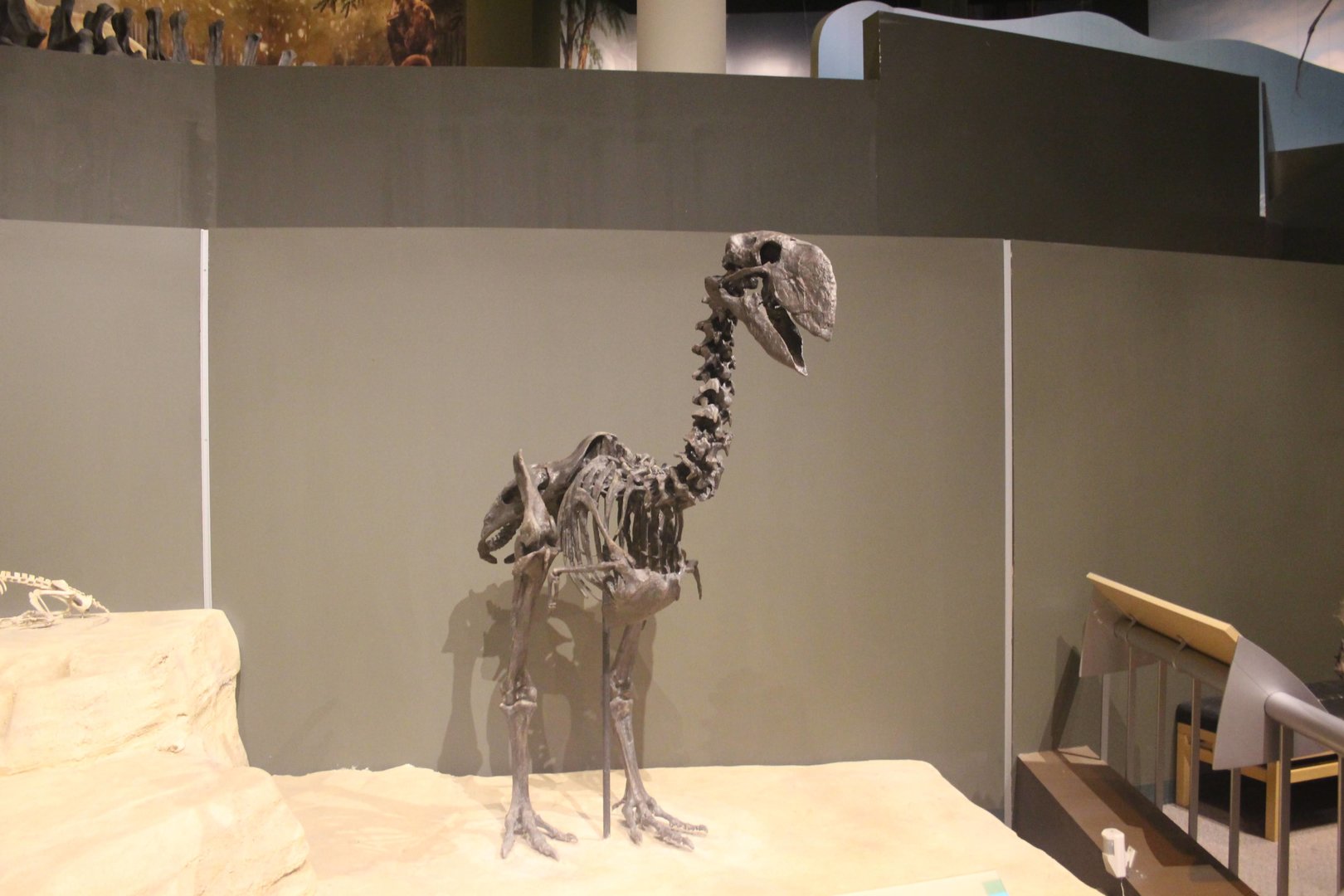 Hall of Ancient Life