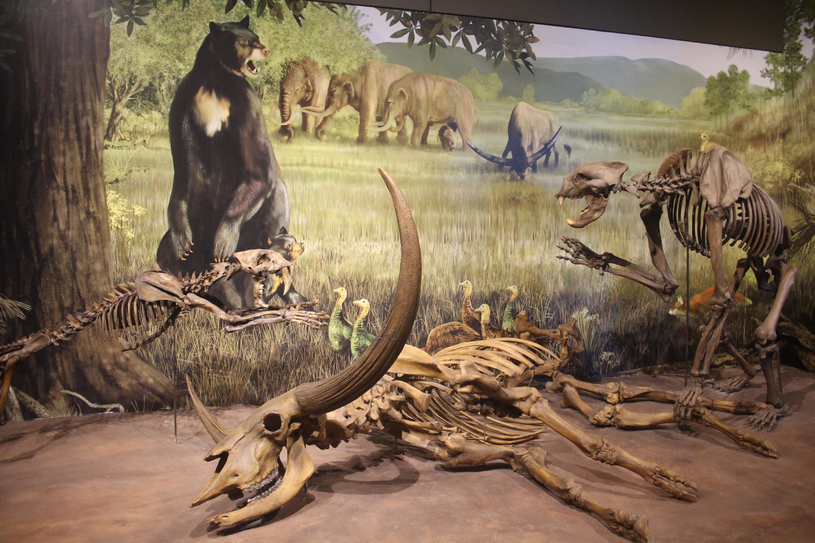 Hall of Ancient Life