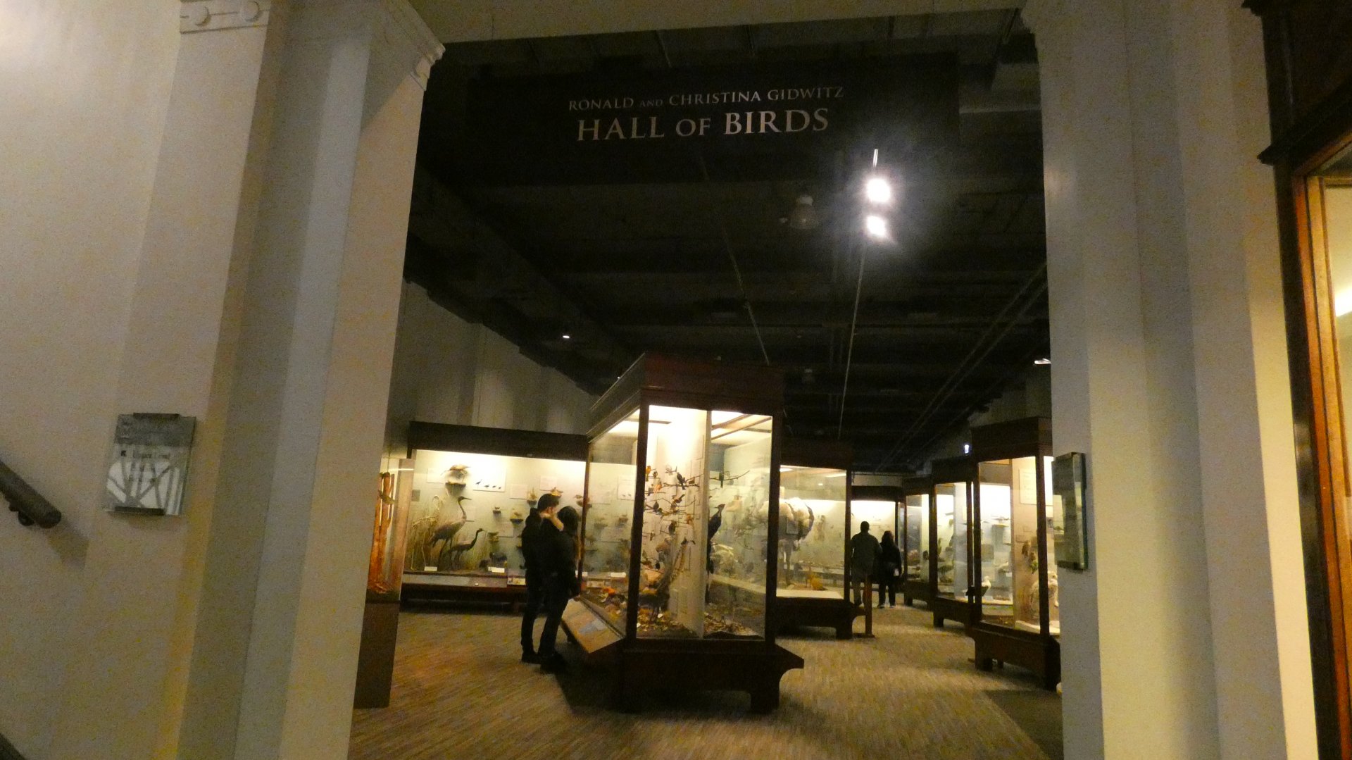 Hall of Birds - Feb. 2022