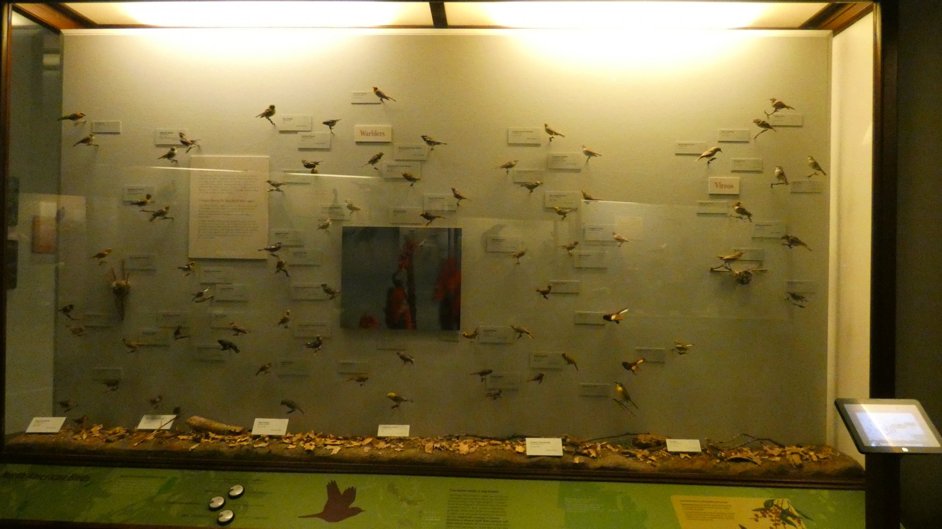 Hall of Birds - Feb. 2022