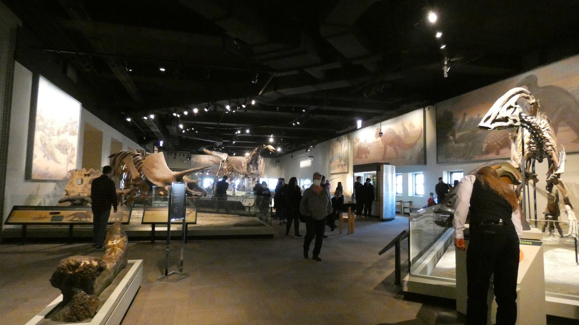 Hall of Dinosaurs, Evolving Planet - Feb. 2022