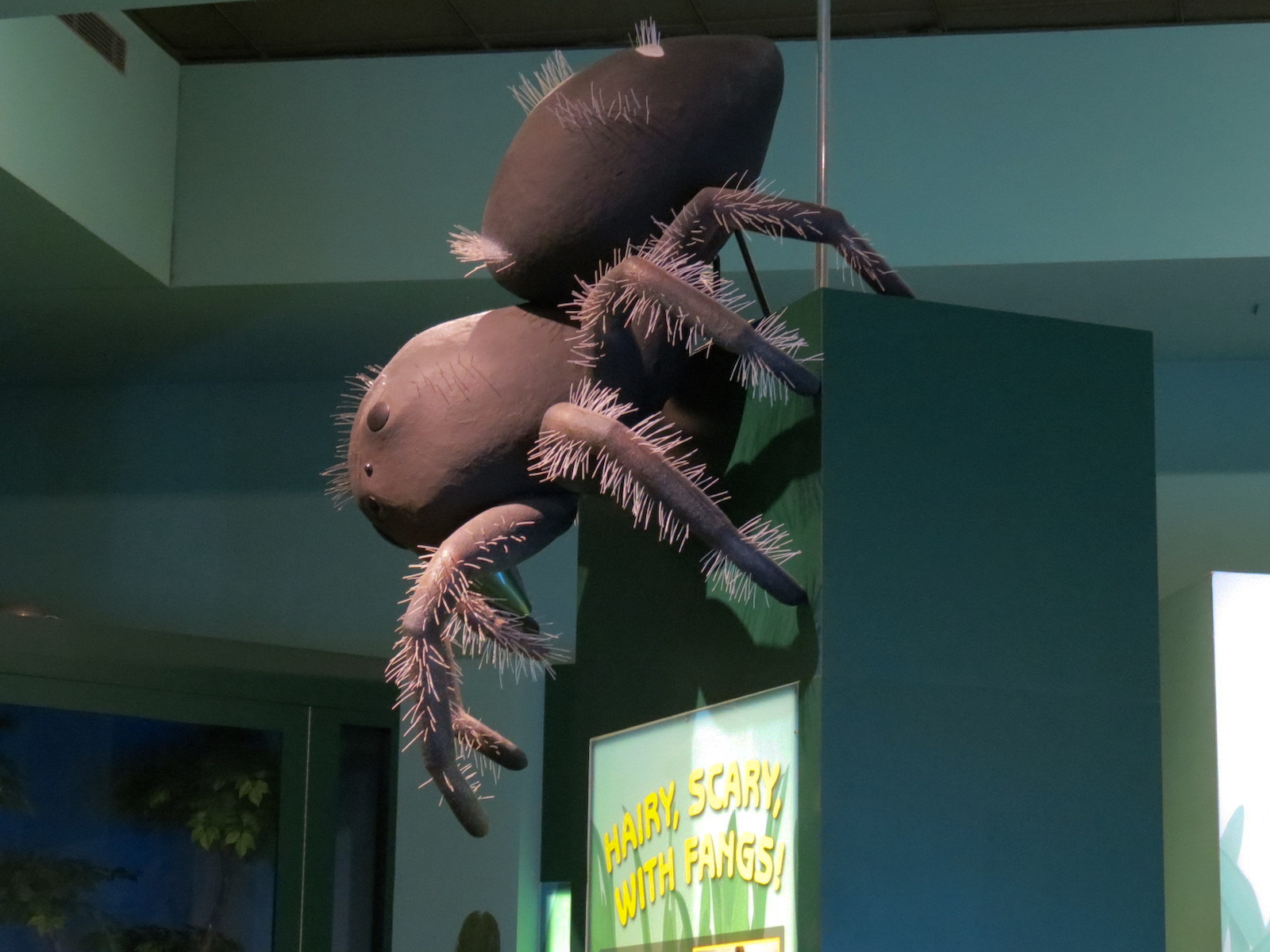 Hall of Entomology - Spider Sculpture