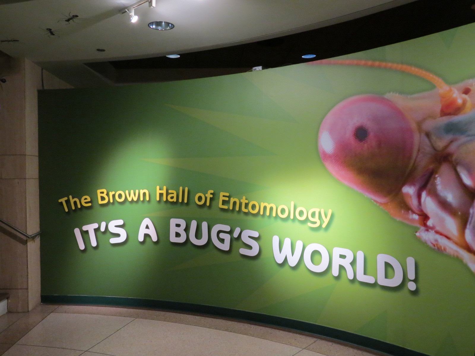 Hall of Entomology