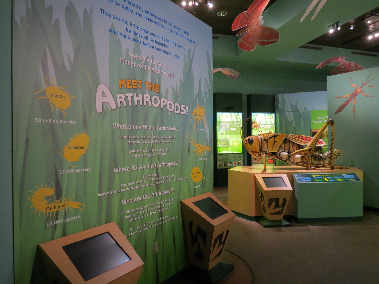 Hall of Entomology