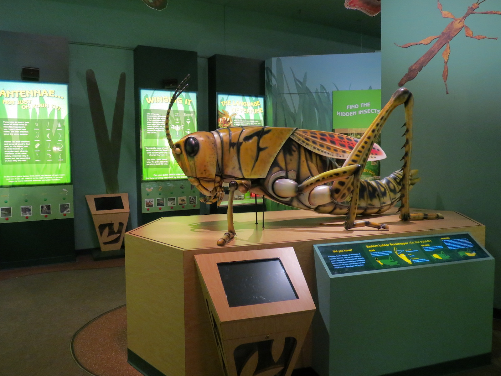 Hall of Entomology