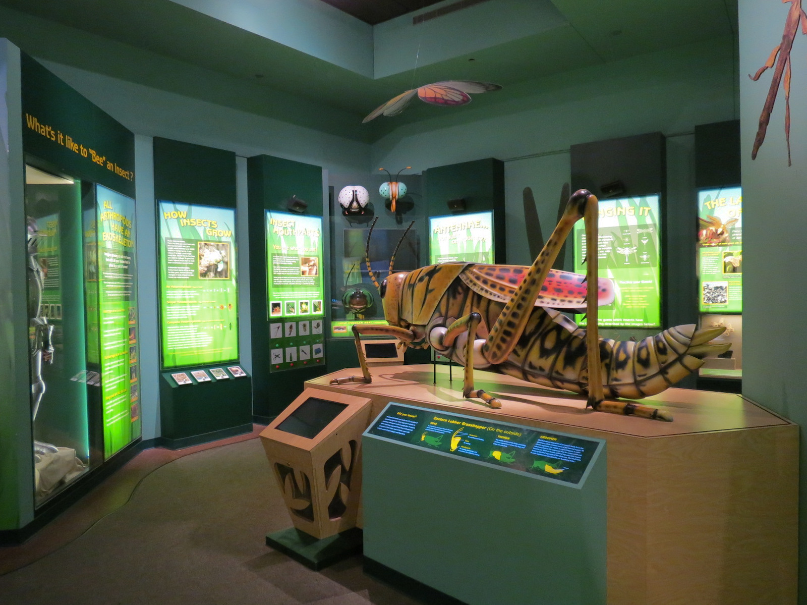 Hall of Entomology
