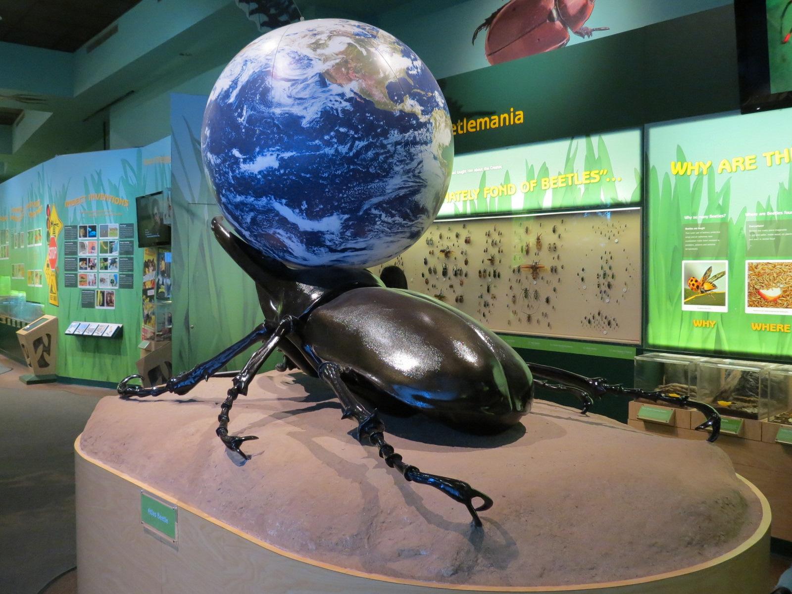 Hall of Entomology