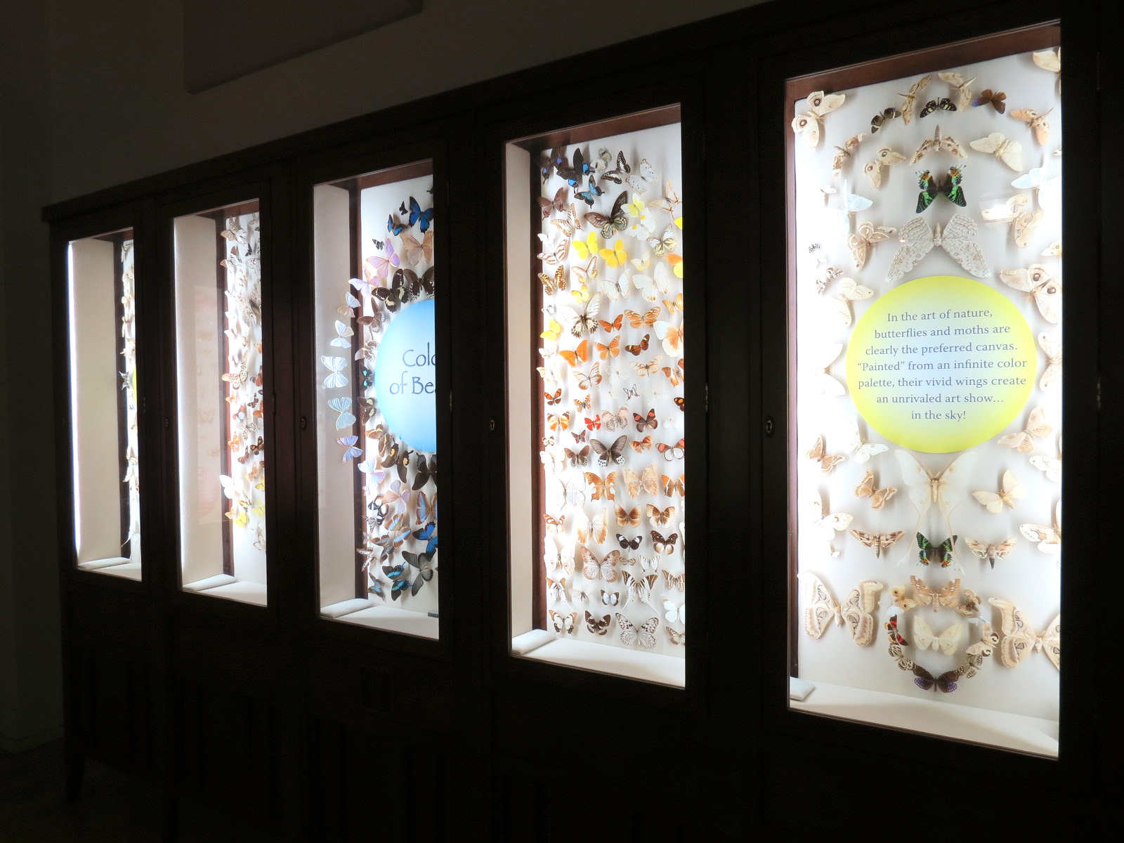 Hall Of Fame Gallery